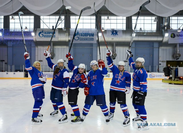 Жены и подруги российских хоккеистов