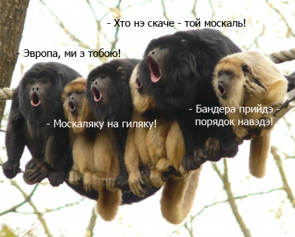 15-летний дончанин стал самым юным бойцом