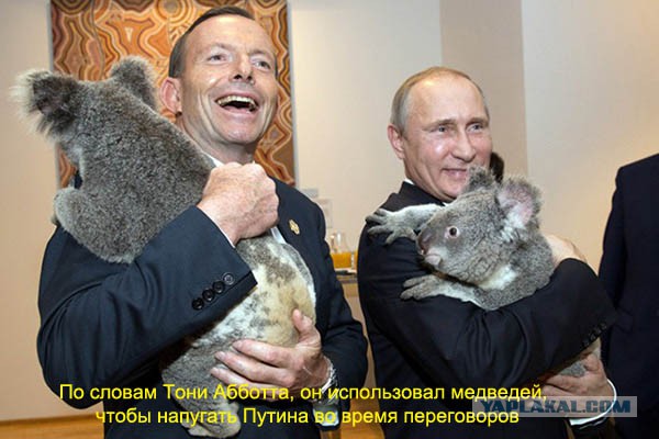 Владимир Путин и его собаки