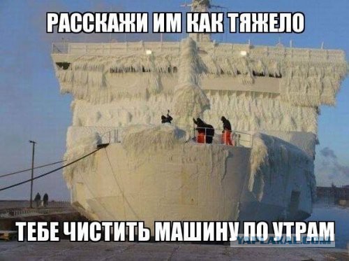 Веселые картинки