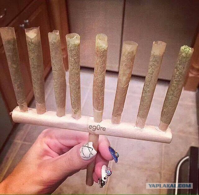 Жизнь после легалайза марихуаны