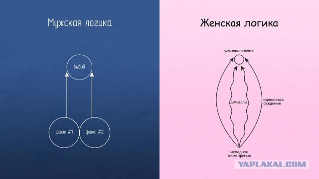Весёлые картинки на субботу