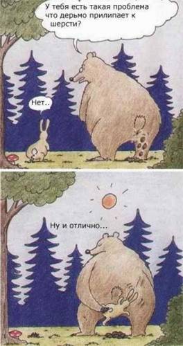 Странные люди живут в США