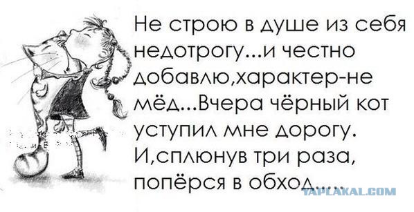 Подборка картинок из сети.