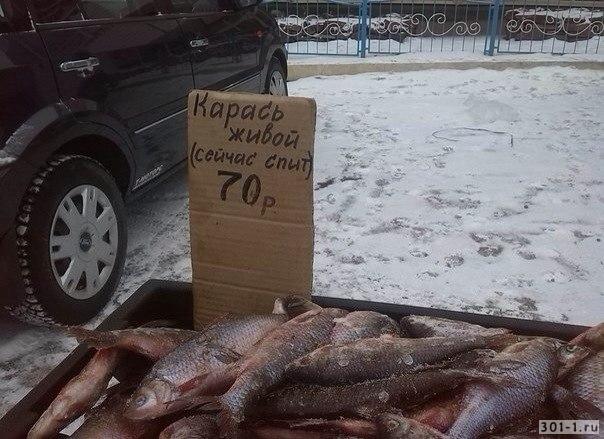 Продавщица сказала они просто отдыхают