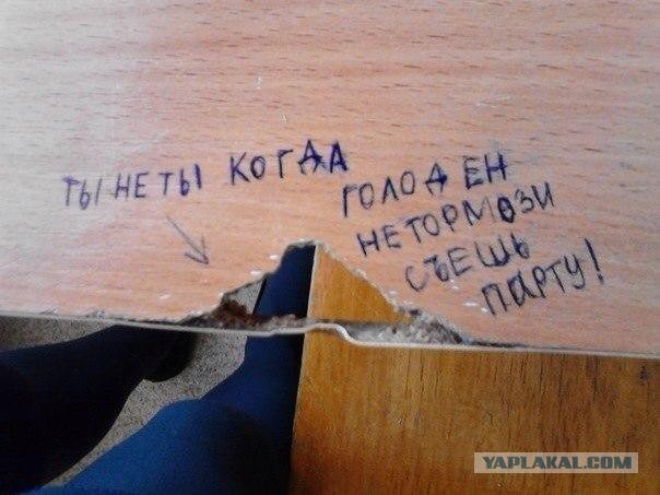 Забавные картинки из сети