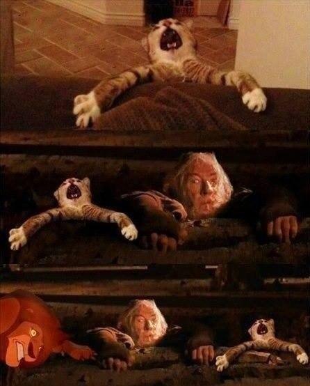 Смешные комментарии из социальных сетей