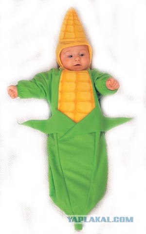 ГМО. Головной Мозг Отсутствует.