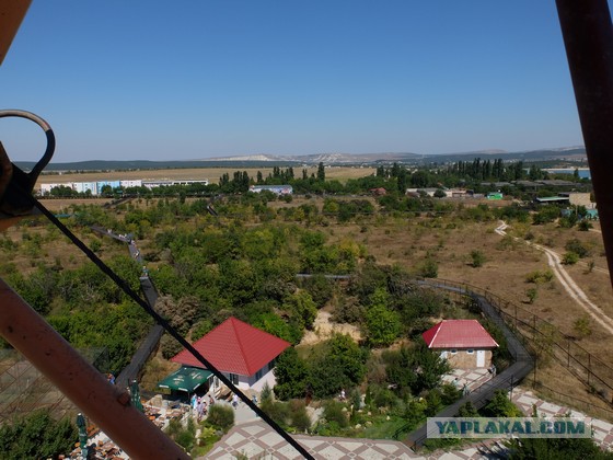 Парк львов Тайган, Крым