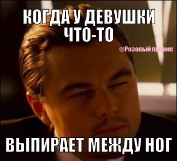 Картинки  из сети