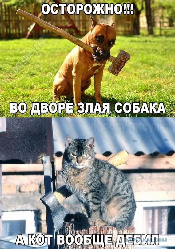 Картинки на утро вторника