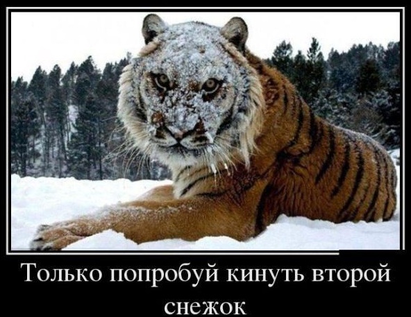 Абсурдный юмор ч.4