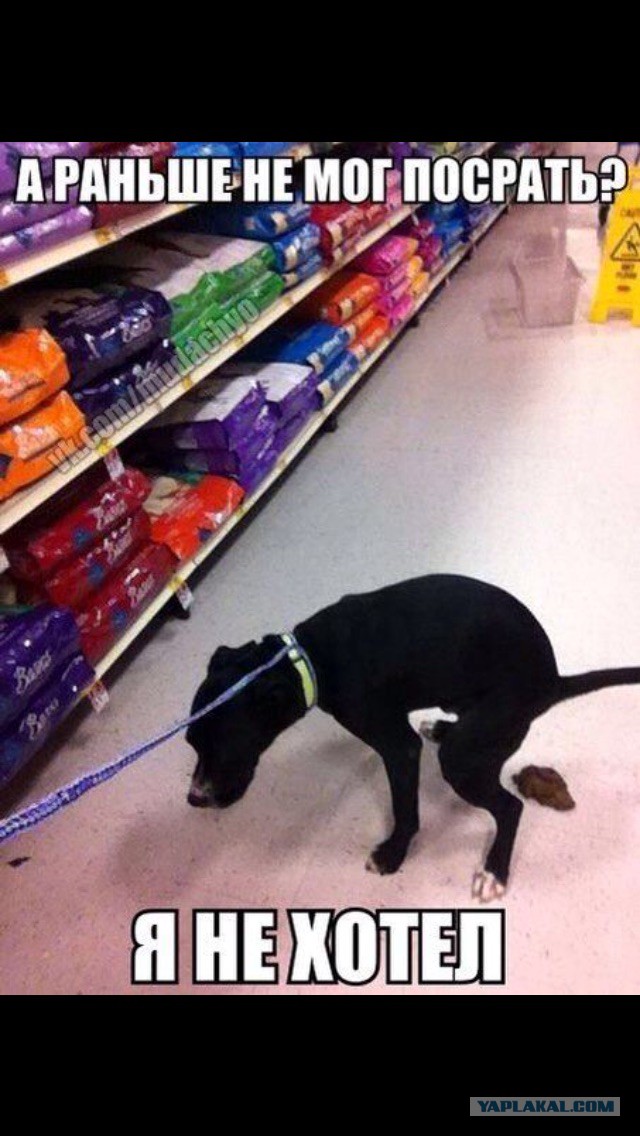 Очередная подборка картинок из сети