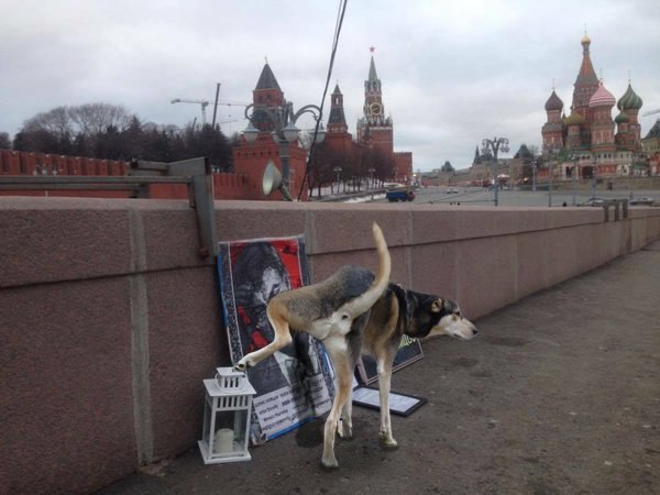 Марш памяти Немцова за 60 секунд