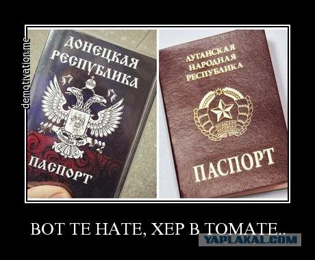 Захарченко вручил первые паспорта республиканского образца 20 гражданам ДНР