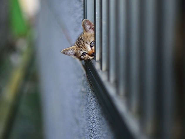 Подборка интересных и веселых фото