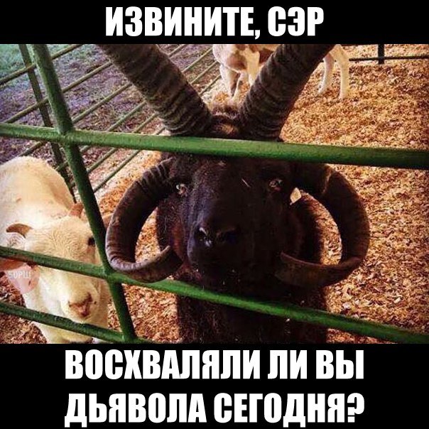 Картинки разные.