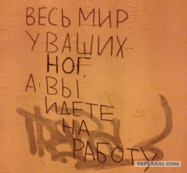 Самые эффектные образцы трёхмерного стрит-арта с разных концов света