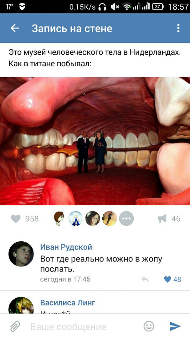 Ужасы и приколы из соцсетей 18+