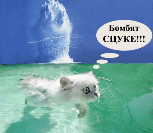 Фотожаба: Офигевший пловец