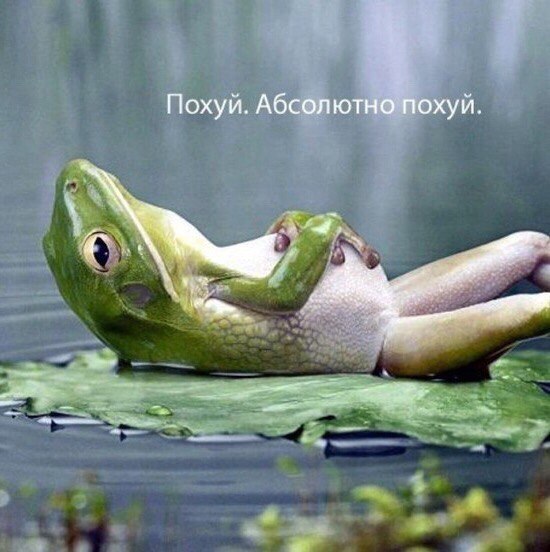 В Москве убит двукратный чемпион мира по кикбоксингу Джабраил Джабраилов