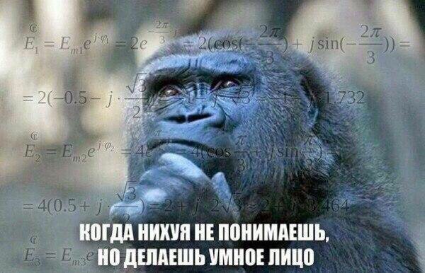 Смотри приколы и тупей