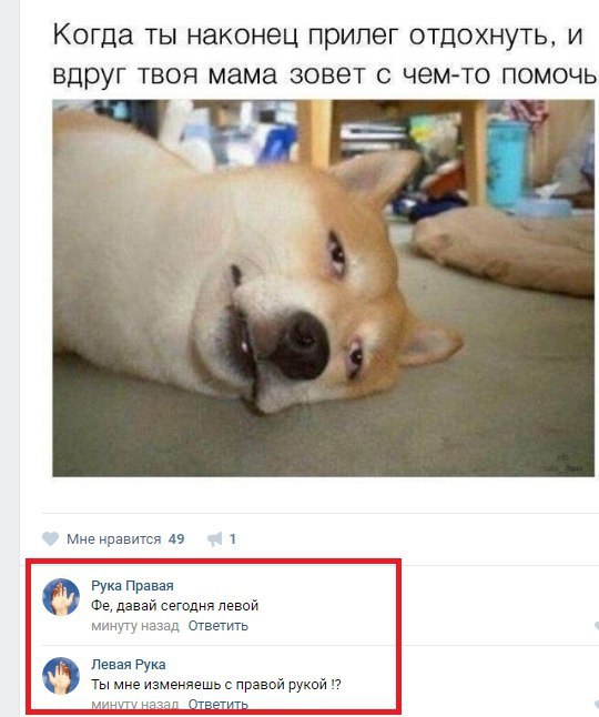 Ужасы и приколы из соцсетей 18+