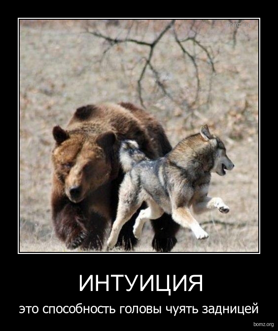 Подборка интересных и веселых картинок