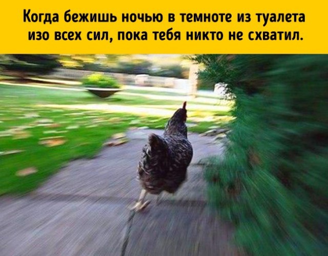 17  саркастичных иллюстраций, в которых некоторые могут  узнать себя