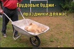 Сегодня во всех офисах страны