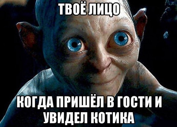 Подборка интересных и веселых картинок