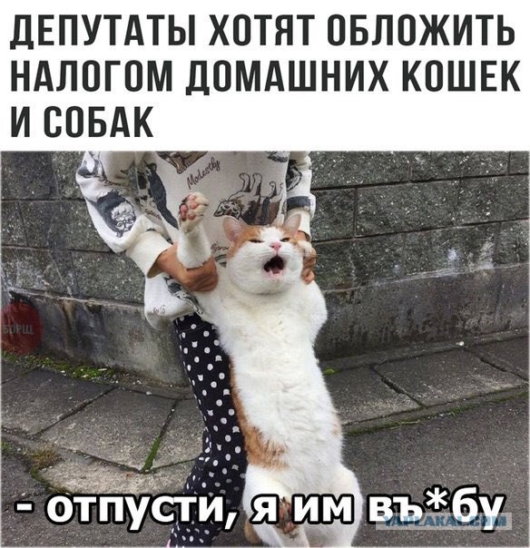Снова соцсети..