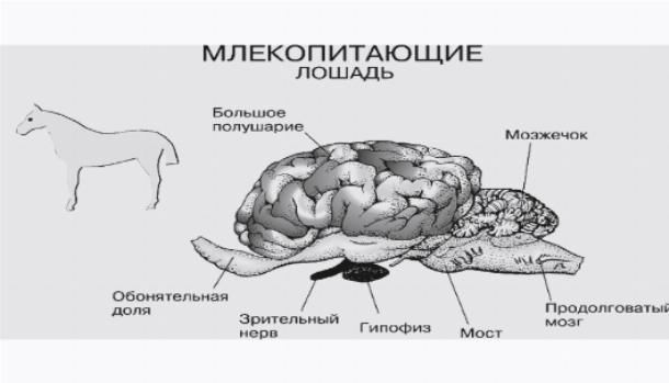 Редкое фото