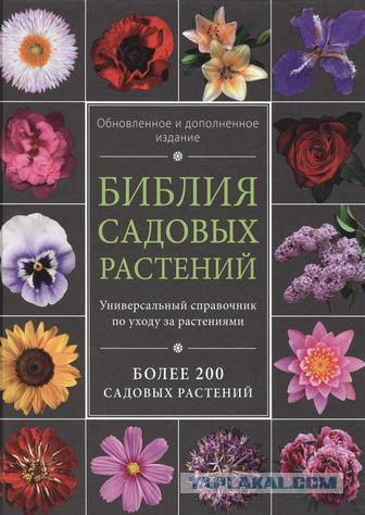Подарками хвастать будем?!