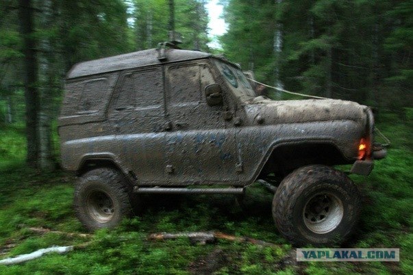 Проходимцы Веппского леса