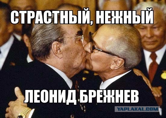Борец с режимом