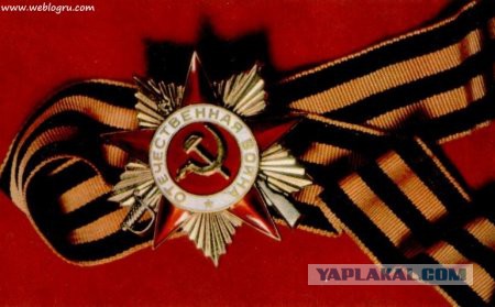 Они плевали на Родину, на День Победы и на отдавших кровь за нашу жизнь!