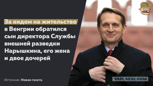 В Росгвардии объяснили обращение Золотова к Навальному