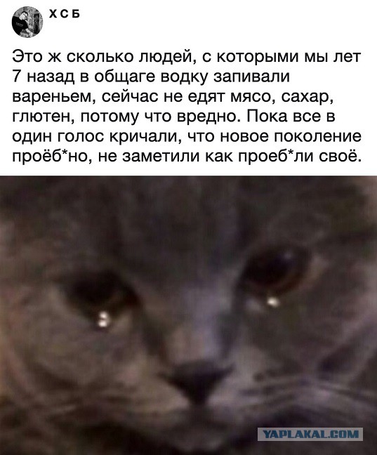 Прикольные комментарии и высказывания из Сети