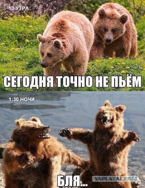 Ситуация на работе