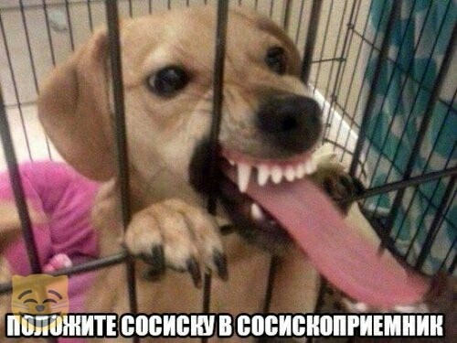 «Картинки разные нужны, картинки разные важны»