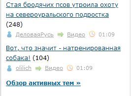 Стая бродячих псов утроила охоту на североуральского подростка