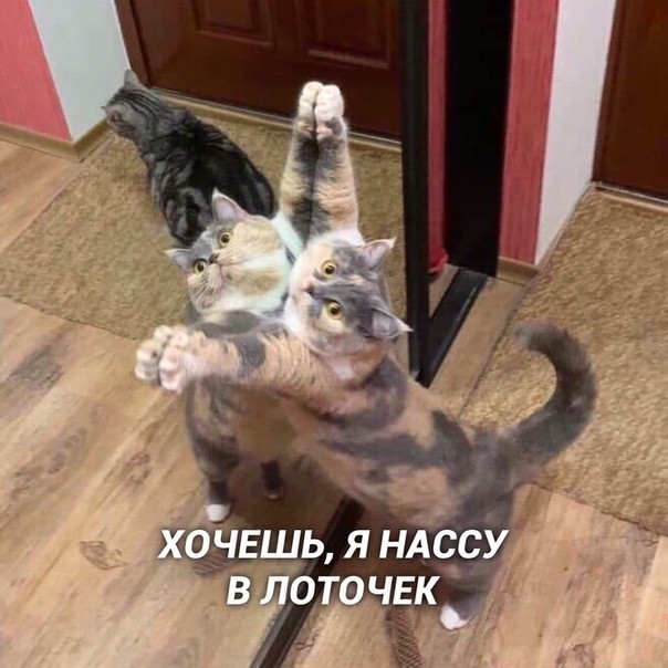 Все устали за день. Я Вам немного улыбательства подкину