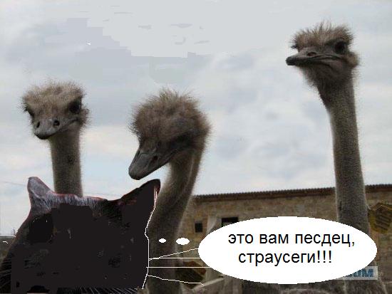 Фотожаба на пятницу