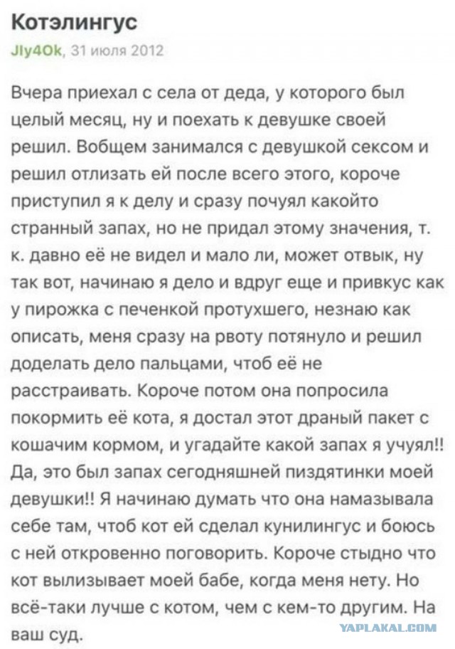 Бредзона 25.11.20