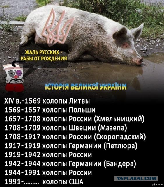 США передали Украине 20 бронированных Хаммеров и 84 катера