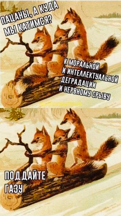 Картинки. Упоротые и не очень 21.01.2021