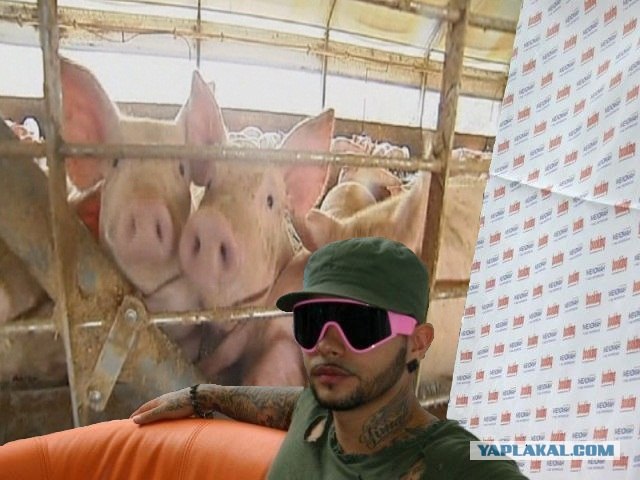 Фотожаба: Фанатка Тимати