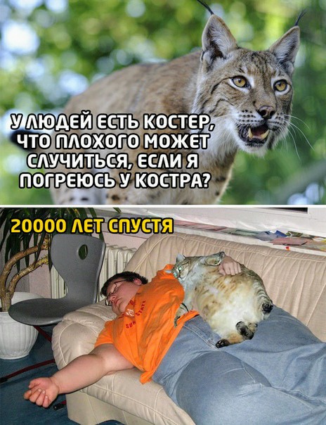 Картинки с надписями и всякие жизненные фразы 23.1.21