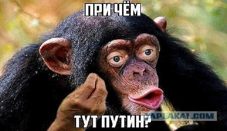Лагерь в Шиесе похоронили. Теперь весь мусор с Москвы и области поедет туда.